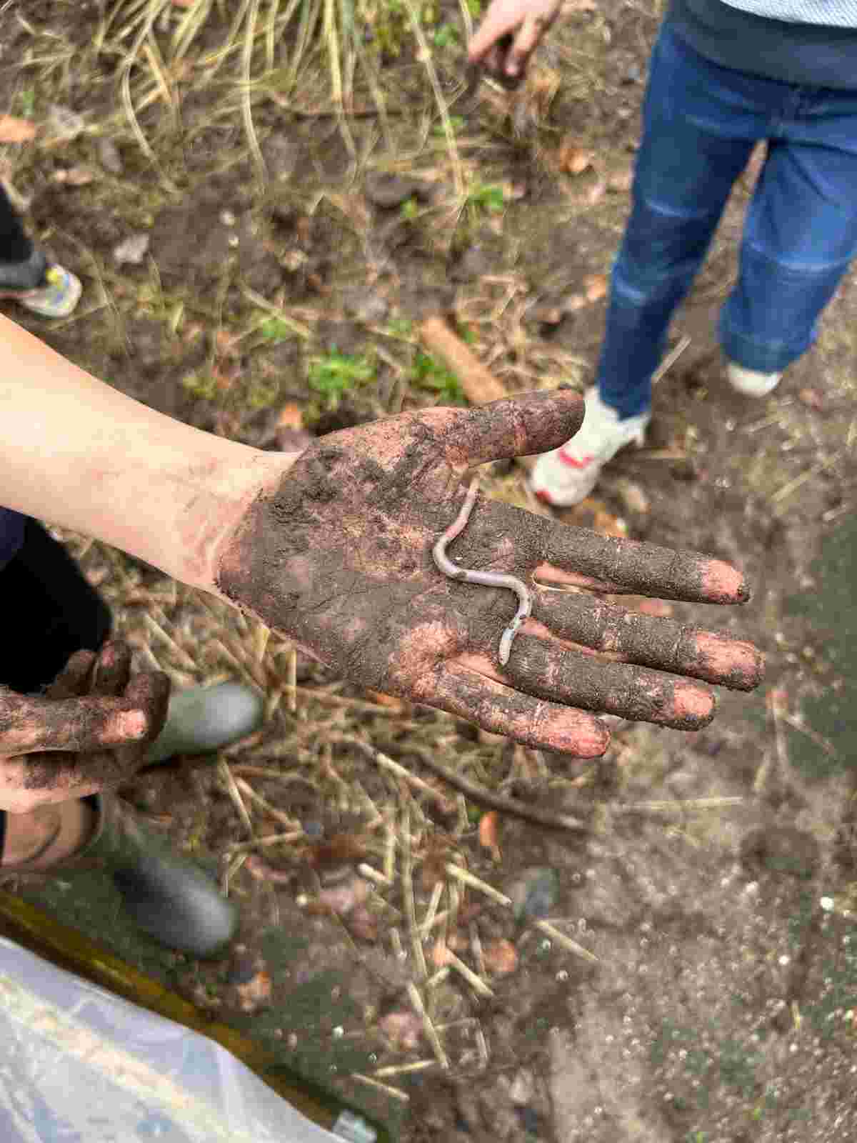 Beetje handig persoon met beetje groene vingers gezocht