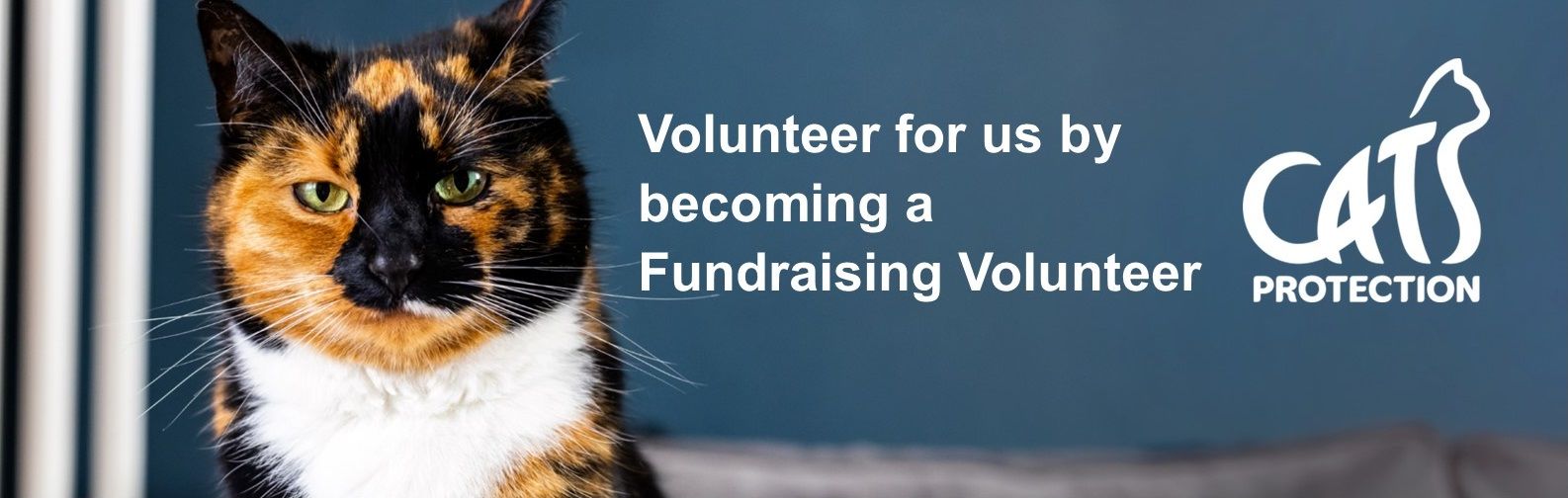 Fundraising Volunter