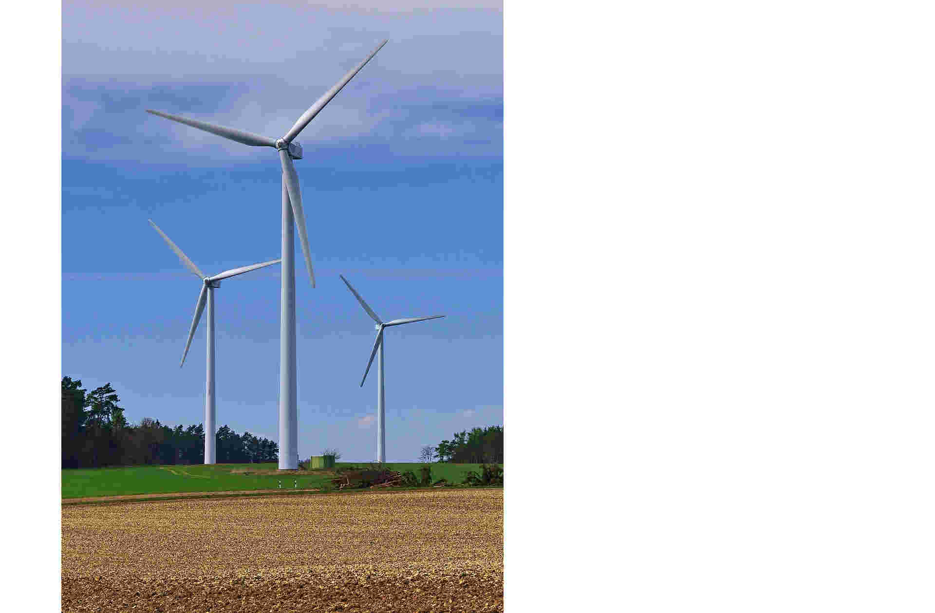 Bescherming natuur en milieu