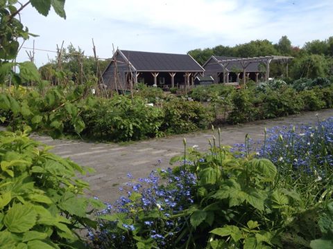 Helpen in de groente- en bloementuin 