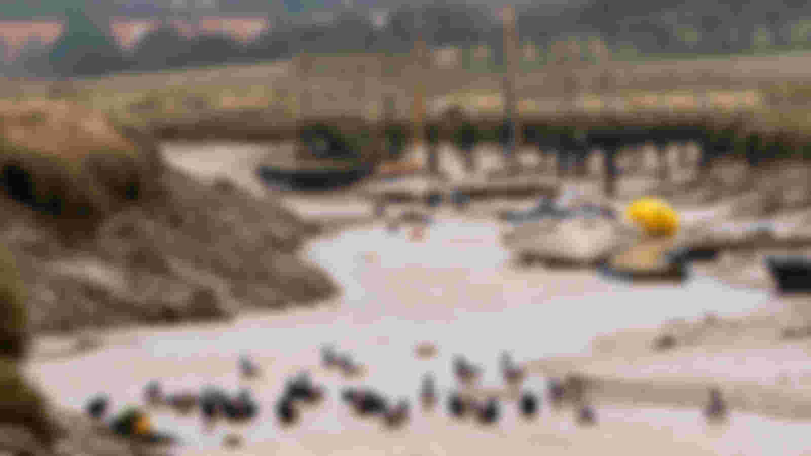 Visitor Welcome Volunteer - Morston Quay