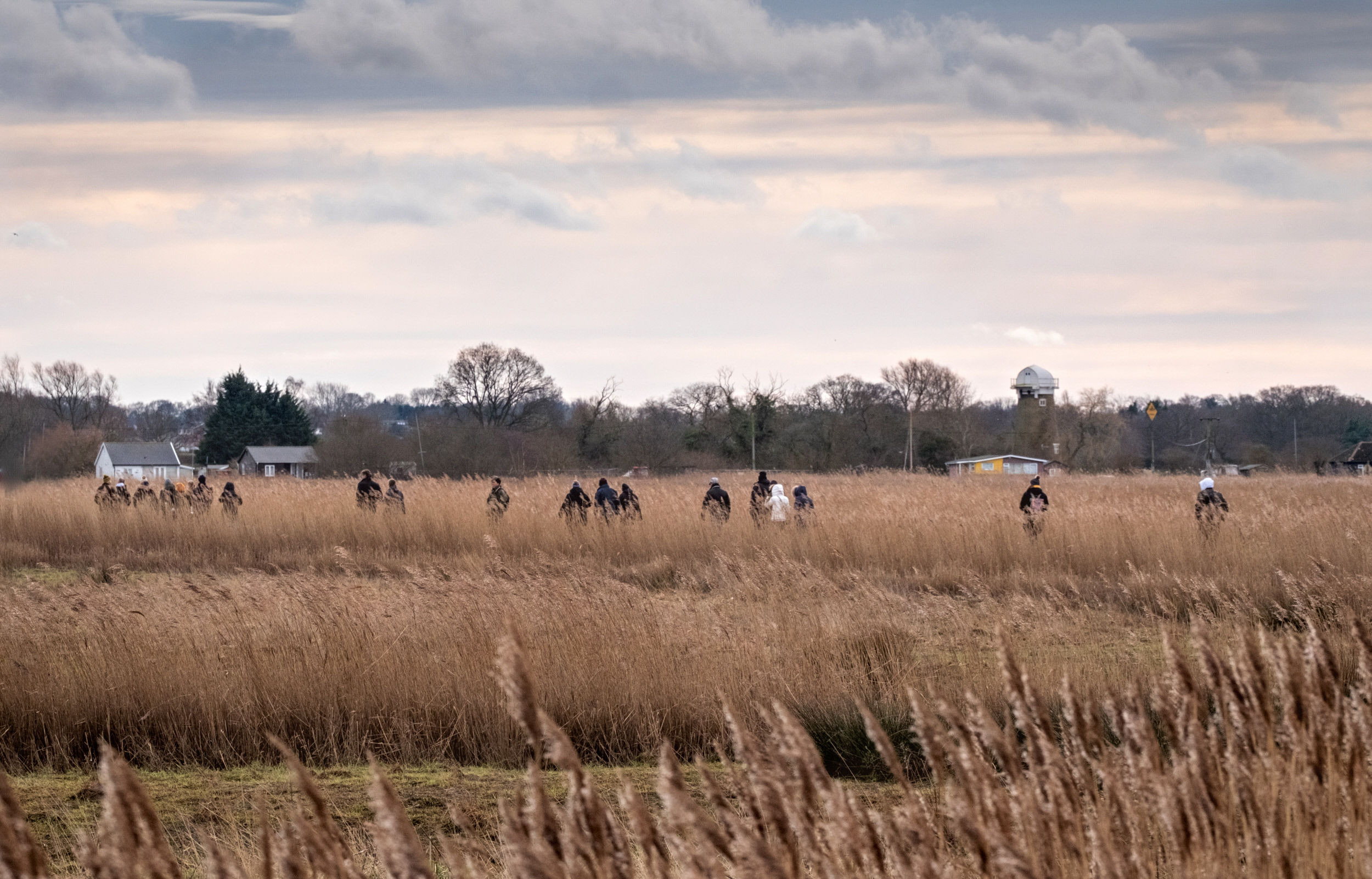 Coast & Countryside Volunteer - Horsey Windpump & Heigham Holmes