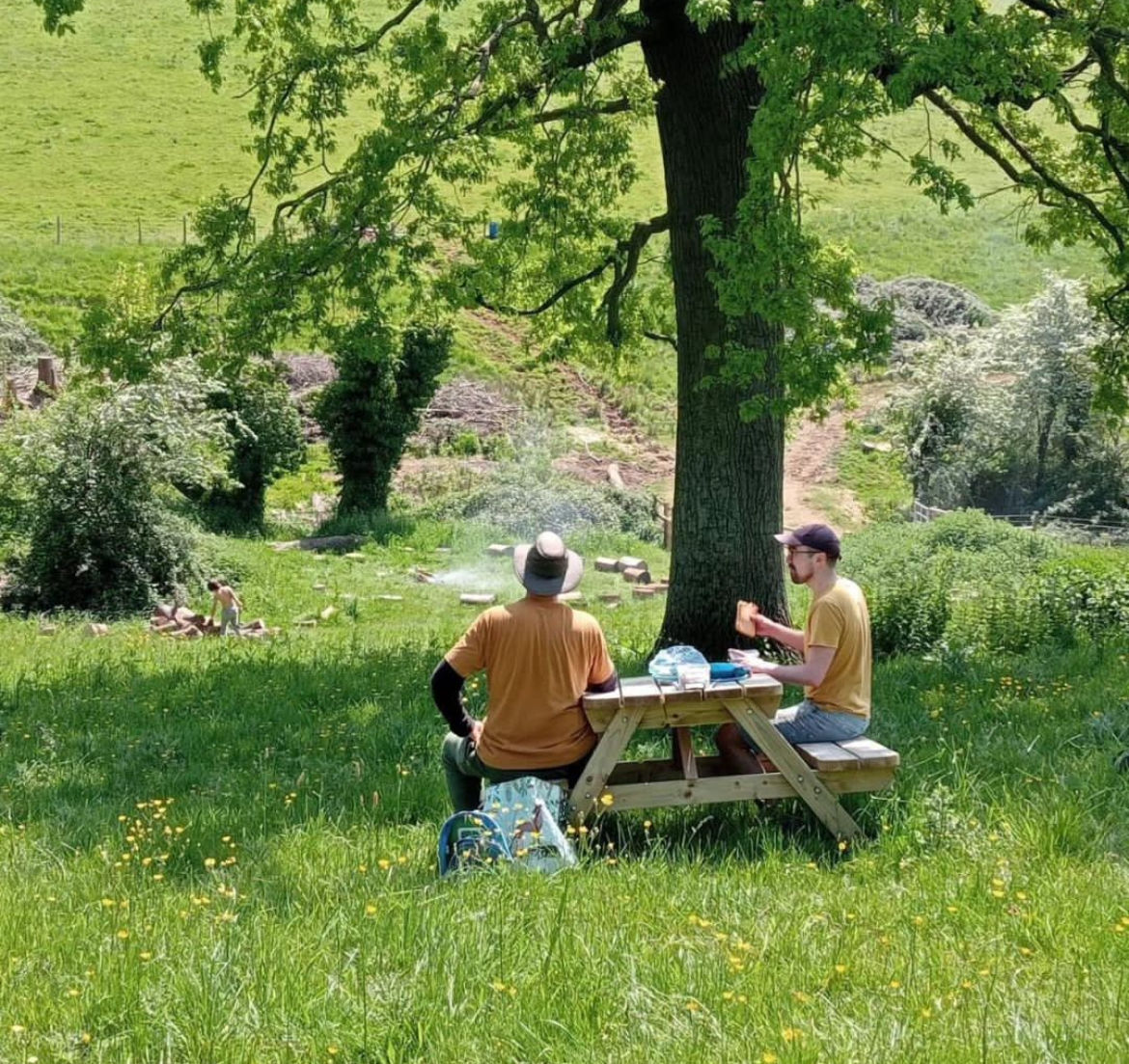Oakbrook Community Farm (Stroud) Volunteer Day