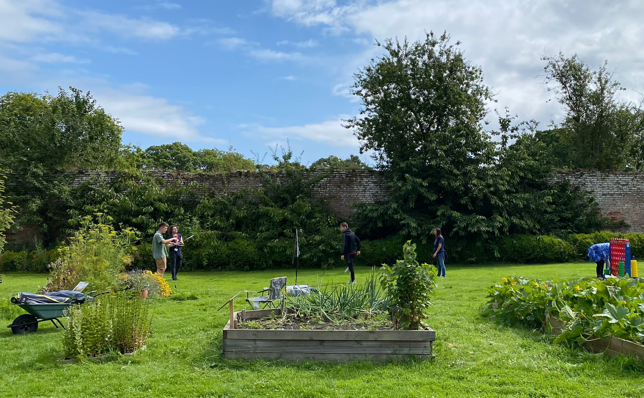 Group Activity Volunteer