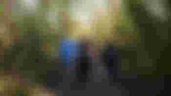 Volunteer Flood Warden (Tewkesbury Borough)