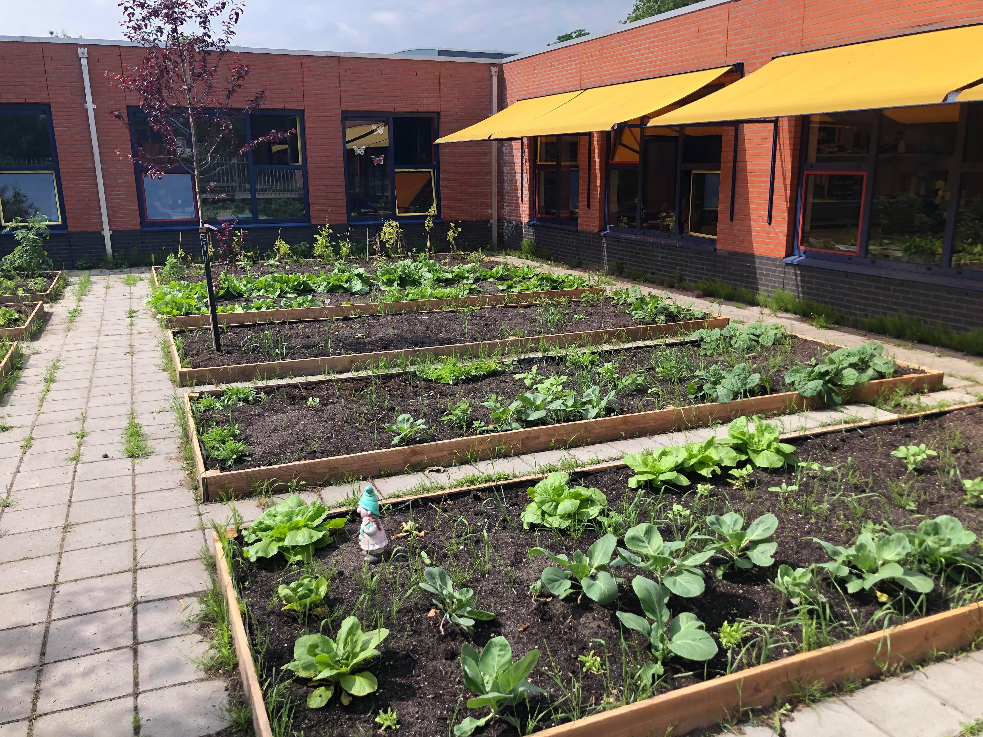 Volunteers Vegetable garden project UIT-WIJK