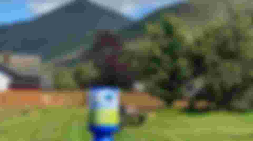 Collection Can Volunteer