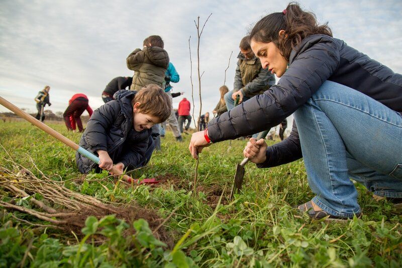 Woodland Creation Champion - Schools & Groups 