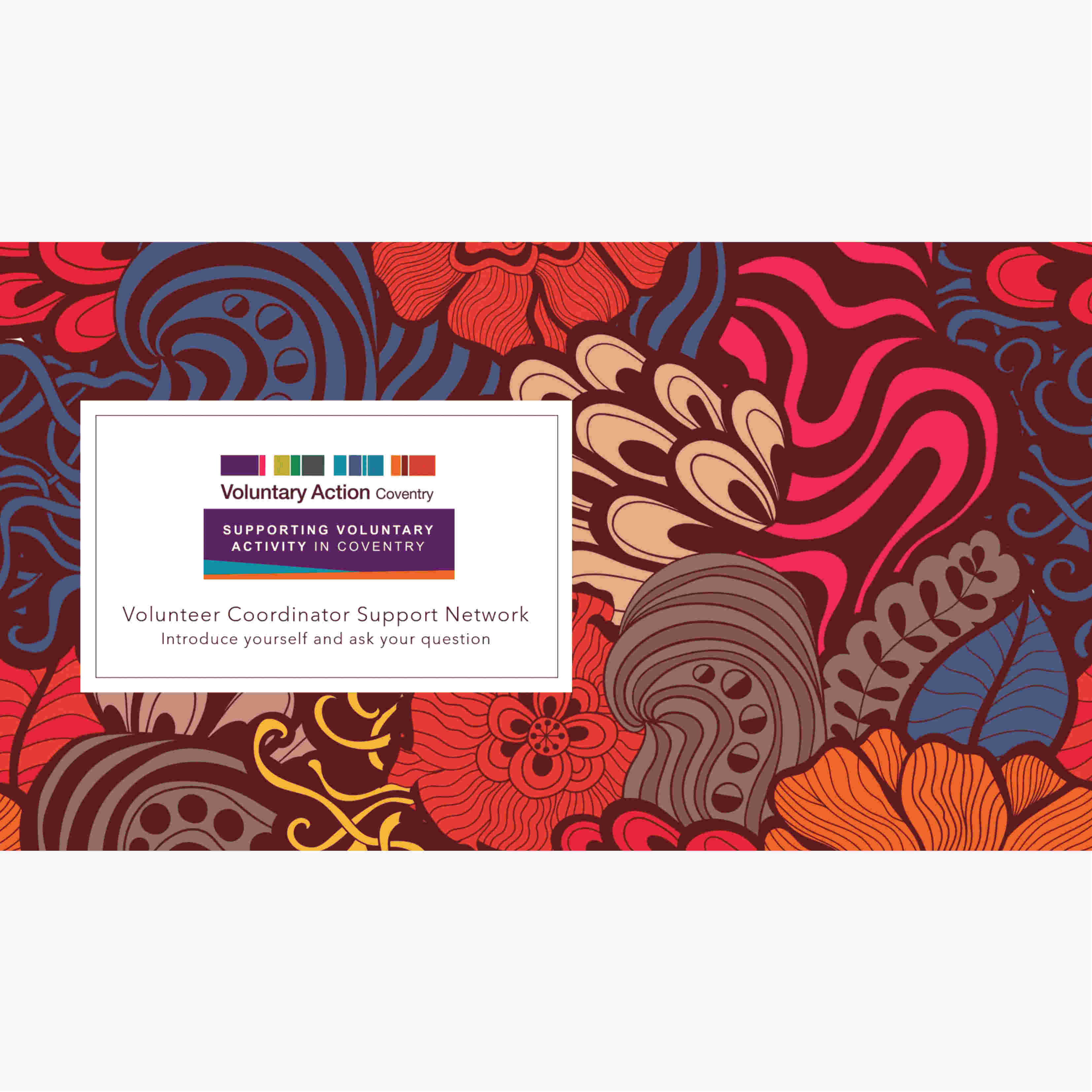 Volunteer Coordinator Support Network meeting