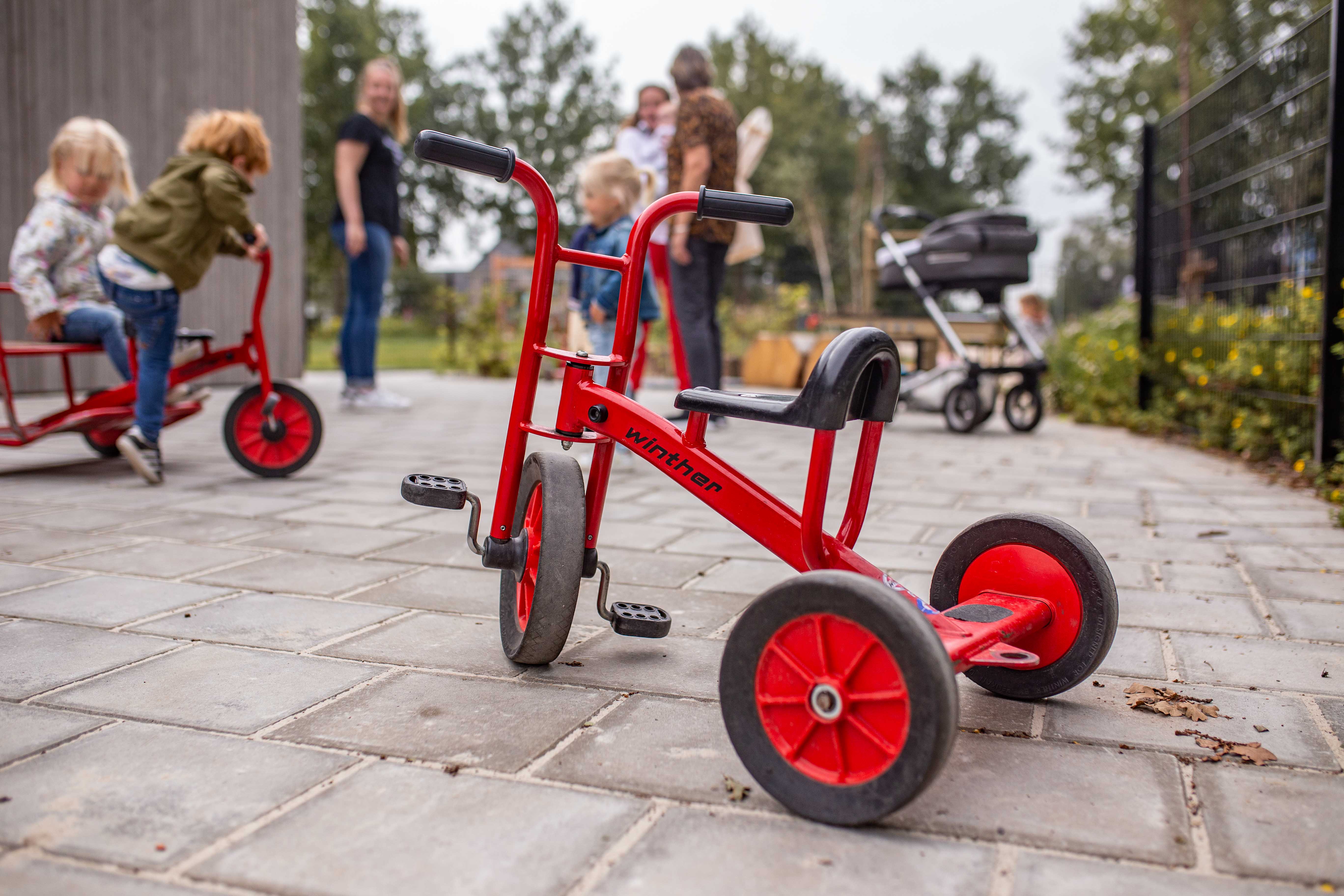 Tuinonderhoud | Ludiek (IKC Villa Linde)