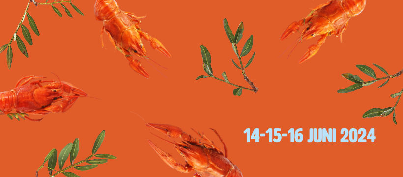 Barvrijwilliger bij Puur in 't Park