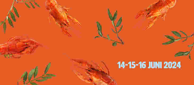 Barvrijwilliger bij Puur in 't Park