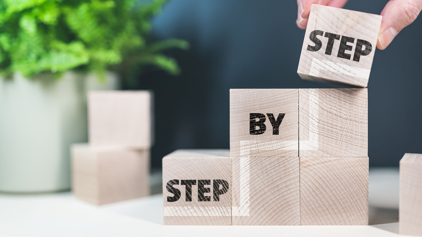 Wooden blocks on a table with a plant in the background. The words step by step can be seen on the blocks as they rise in a staircase fashion.