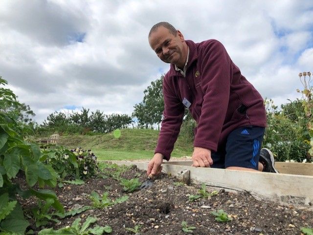 Man on knees holding a small trowel and weeding a flower bed