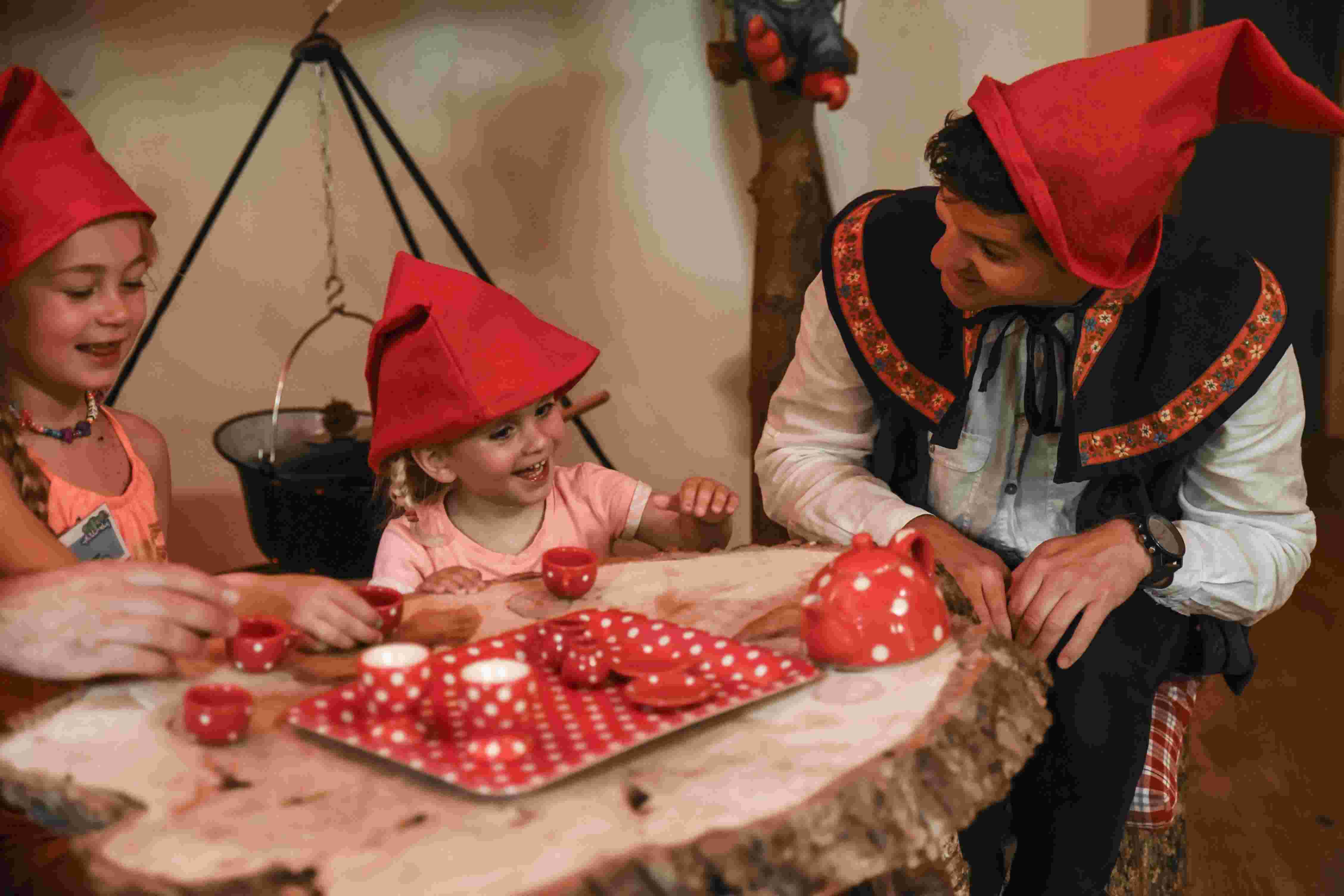 Vrijwilliger Klussen