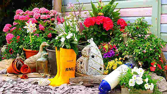 Branch Chair Person - Southwold