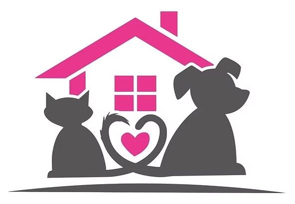 Wil jij graag helpen bij de Dierenvoedselbank 