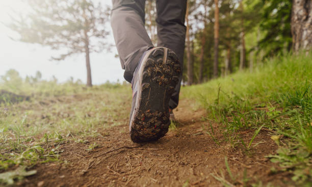 Wie wil met mij samen wandelen in de natuur?