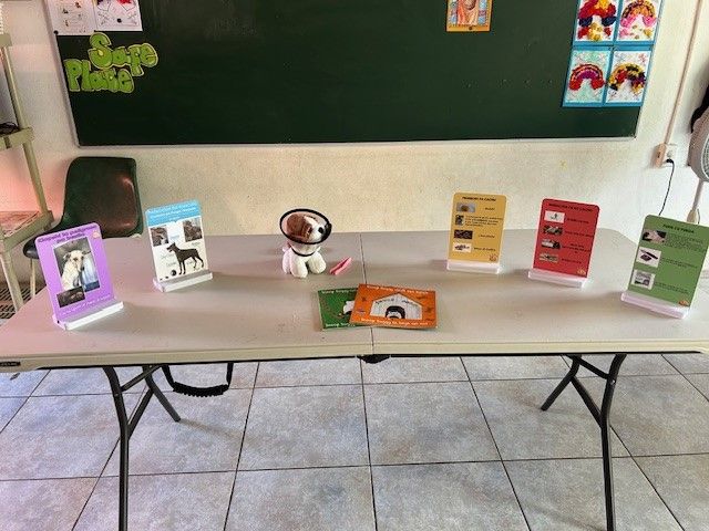 Pet Care Presenter for Children