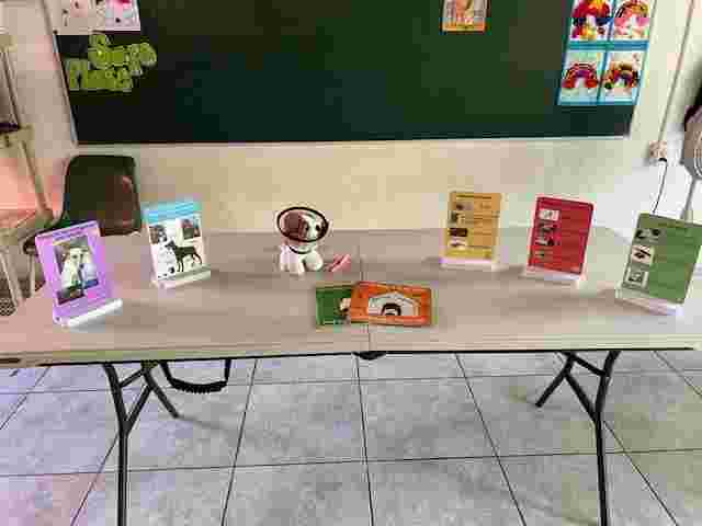 Pet Care Presenter for Children