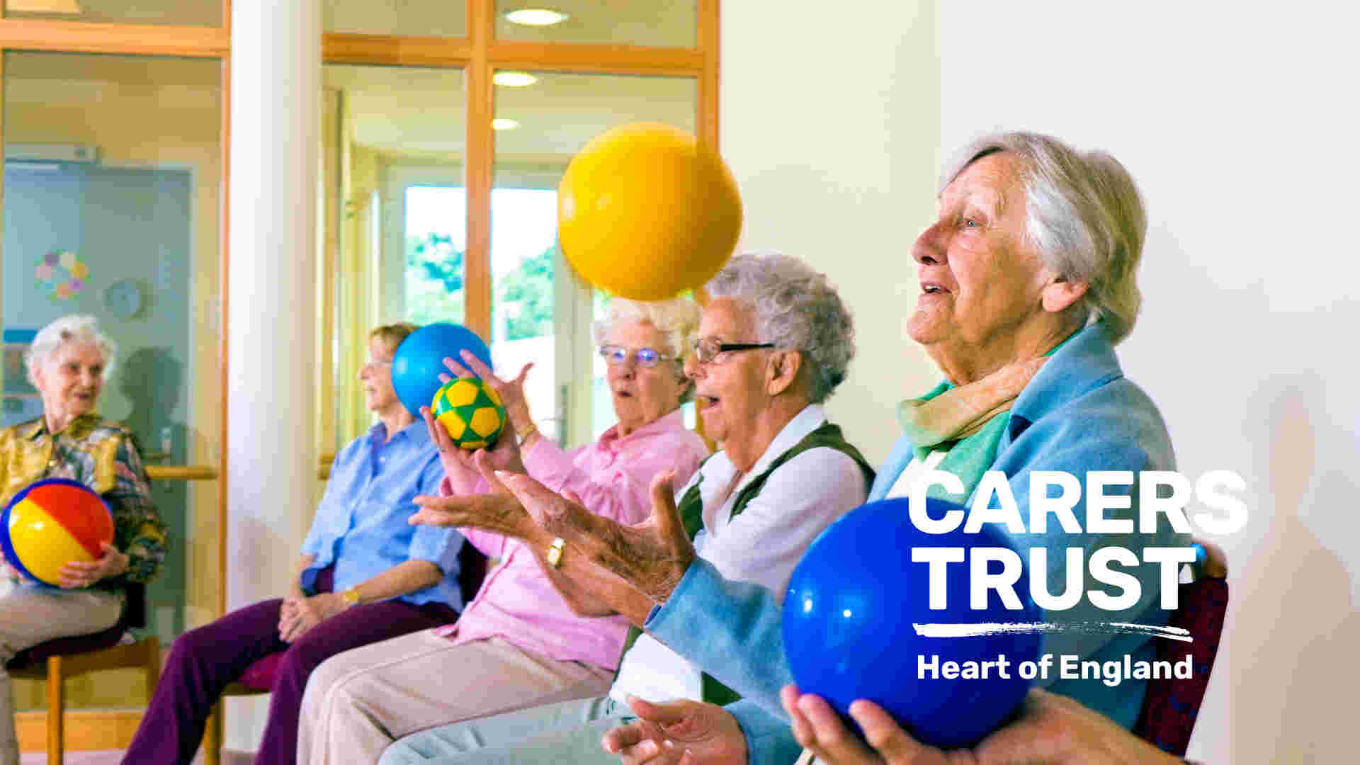 Volunteer Activity Coordinator