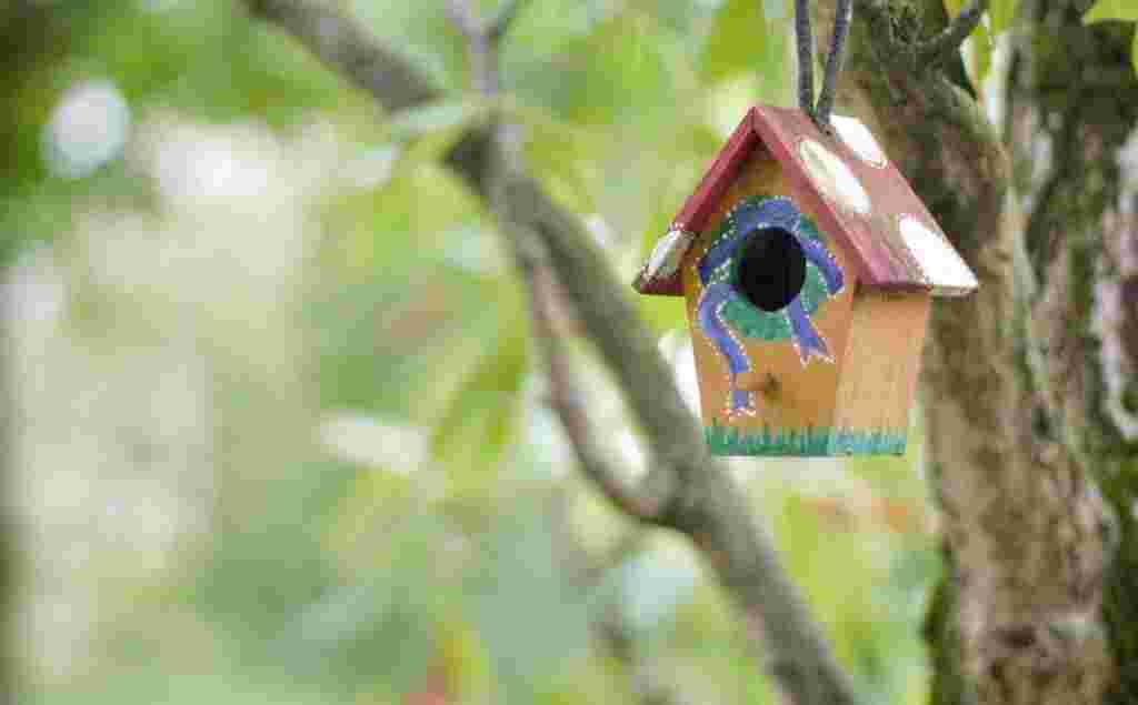 Volunteer Woodwork Leader