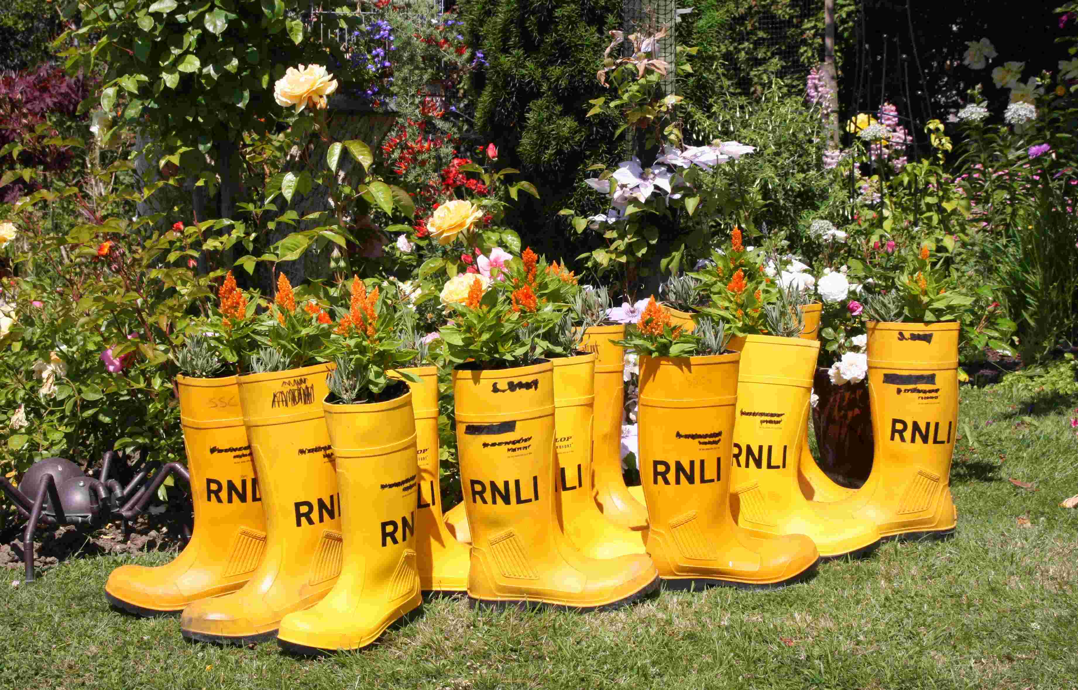 Branch Fundraising Member