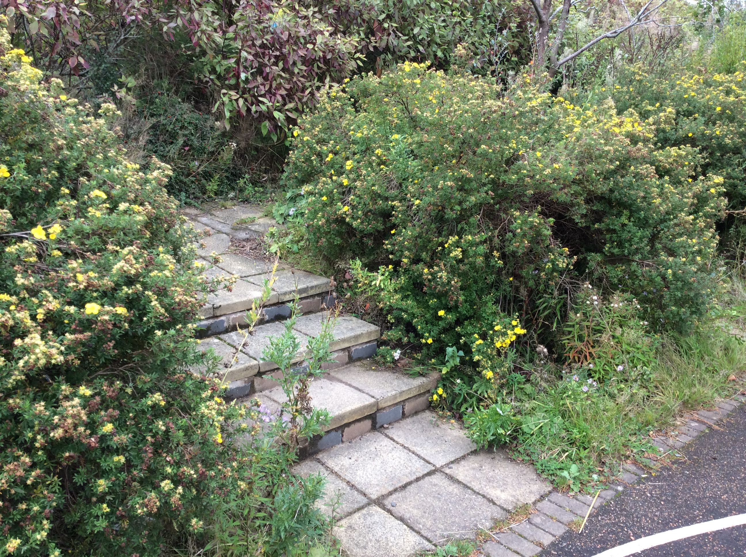 Gardening opportunities