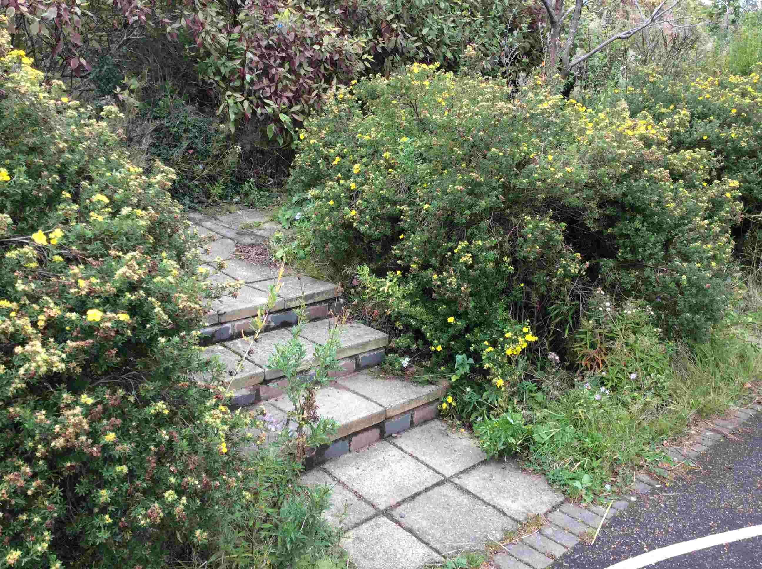 Gardening opportunities