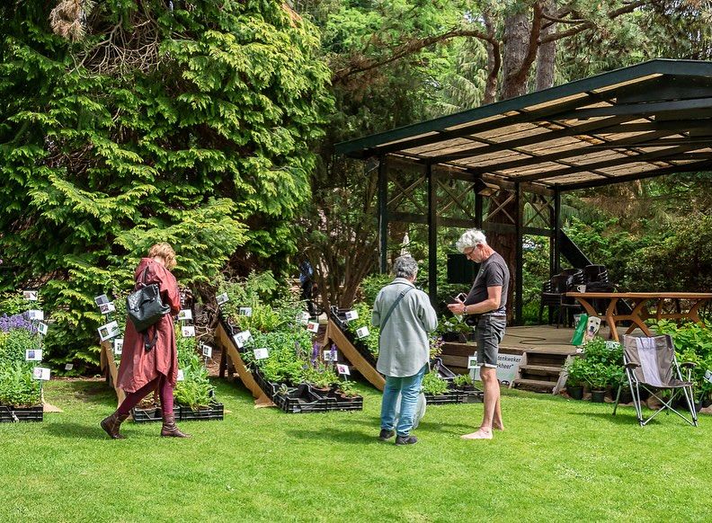 Samen de buurt verkennen 