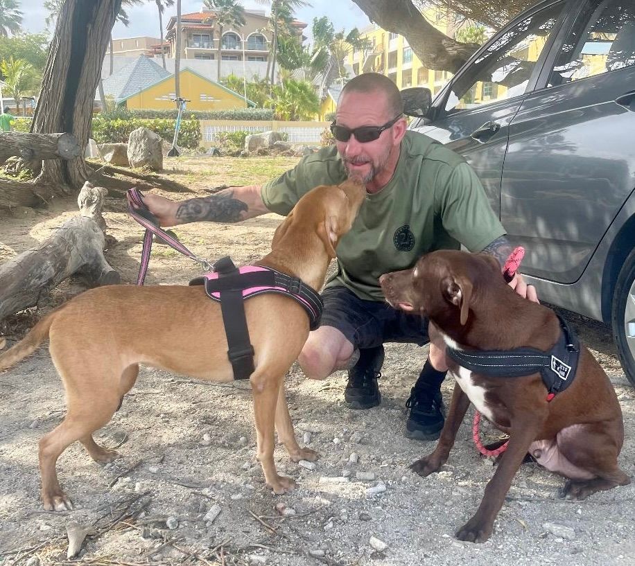 Dog walkers | Aruba Volunteers