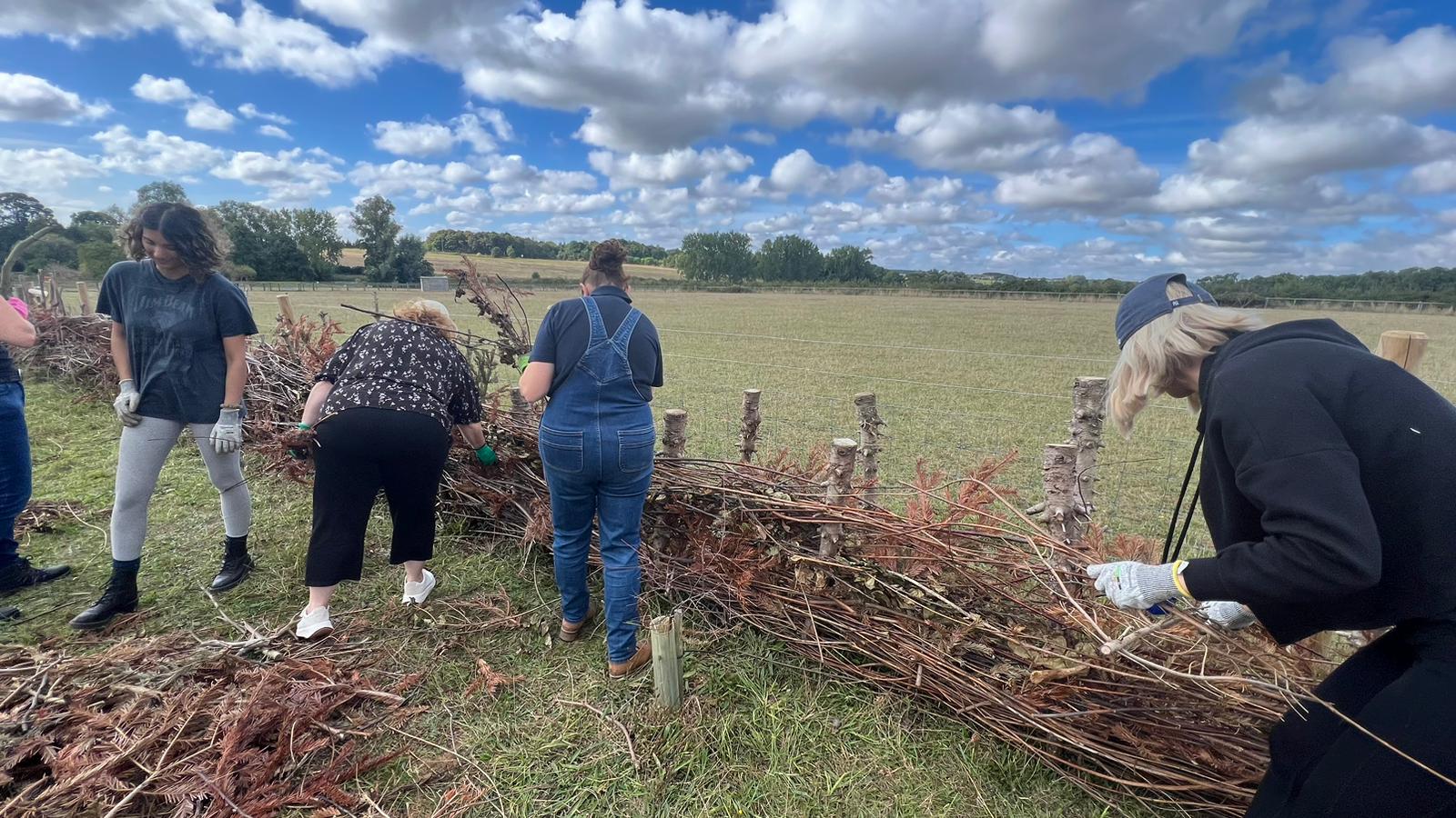 Horticultural Learning Volunteer