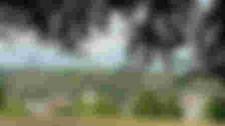 Volunteer Warden for Tom Burt's Hill