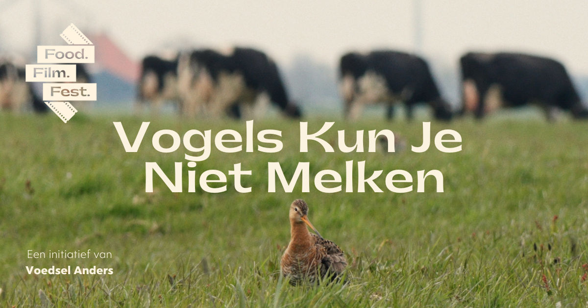 Film 'Vogels kun je niet melken'