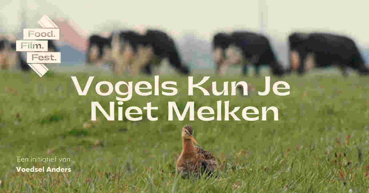 Film 'Vogels kun je niet melken'