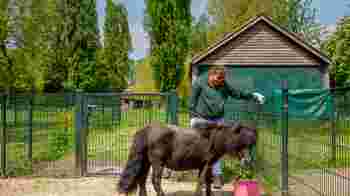 Vrijwilliger manege/kinderboerderij