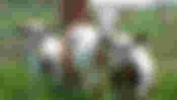 Volunteer Livestock Keeper