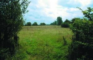 Upper Ray Work Party