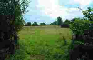 Upper Ray Work Party