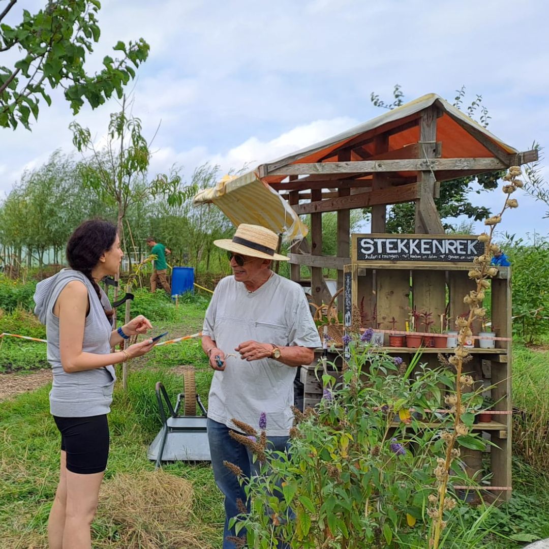 Online workshop: Hoe starten we een buurtmoestuin?