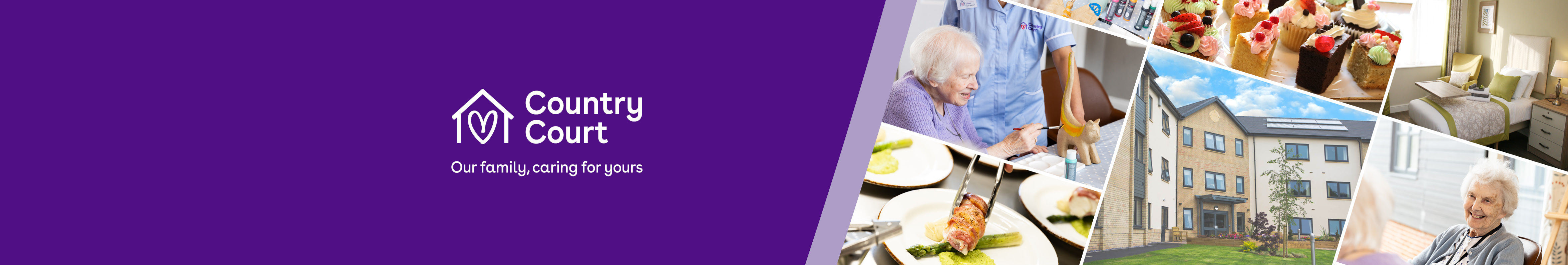 Companionship Volunteers 