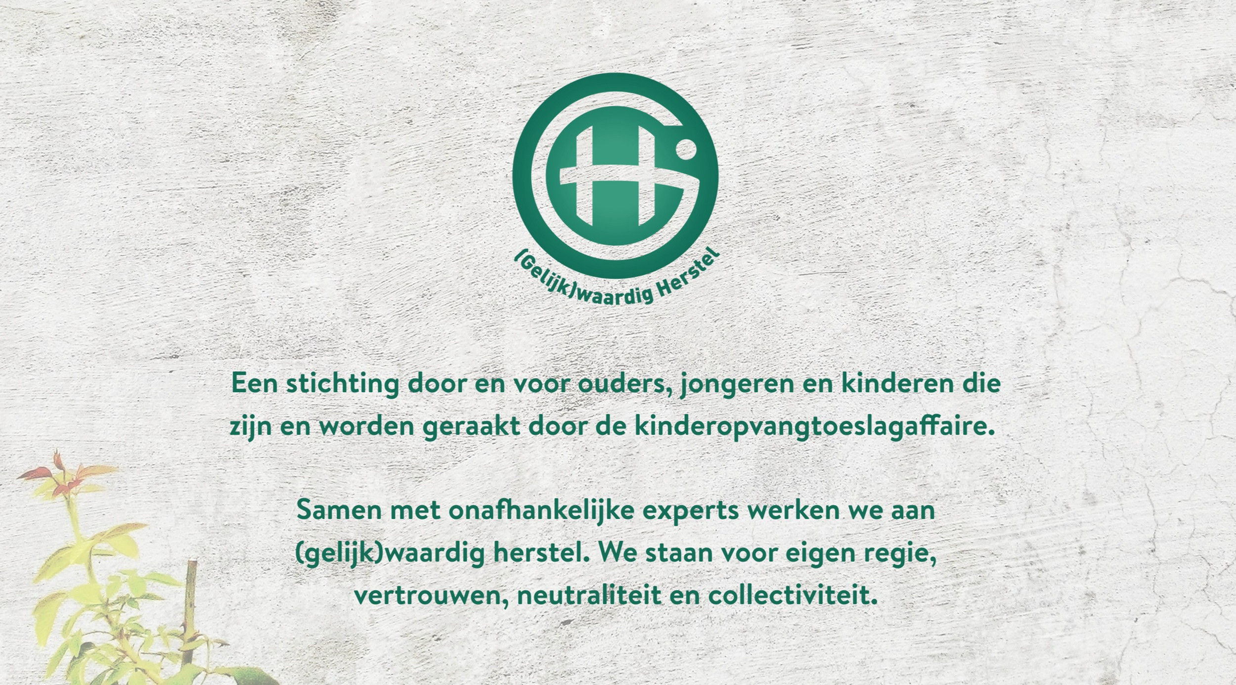 Draag bij aan een oplossing voor de toeslagenaffaire als Luisterend Schrijver!