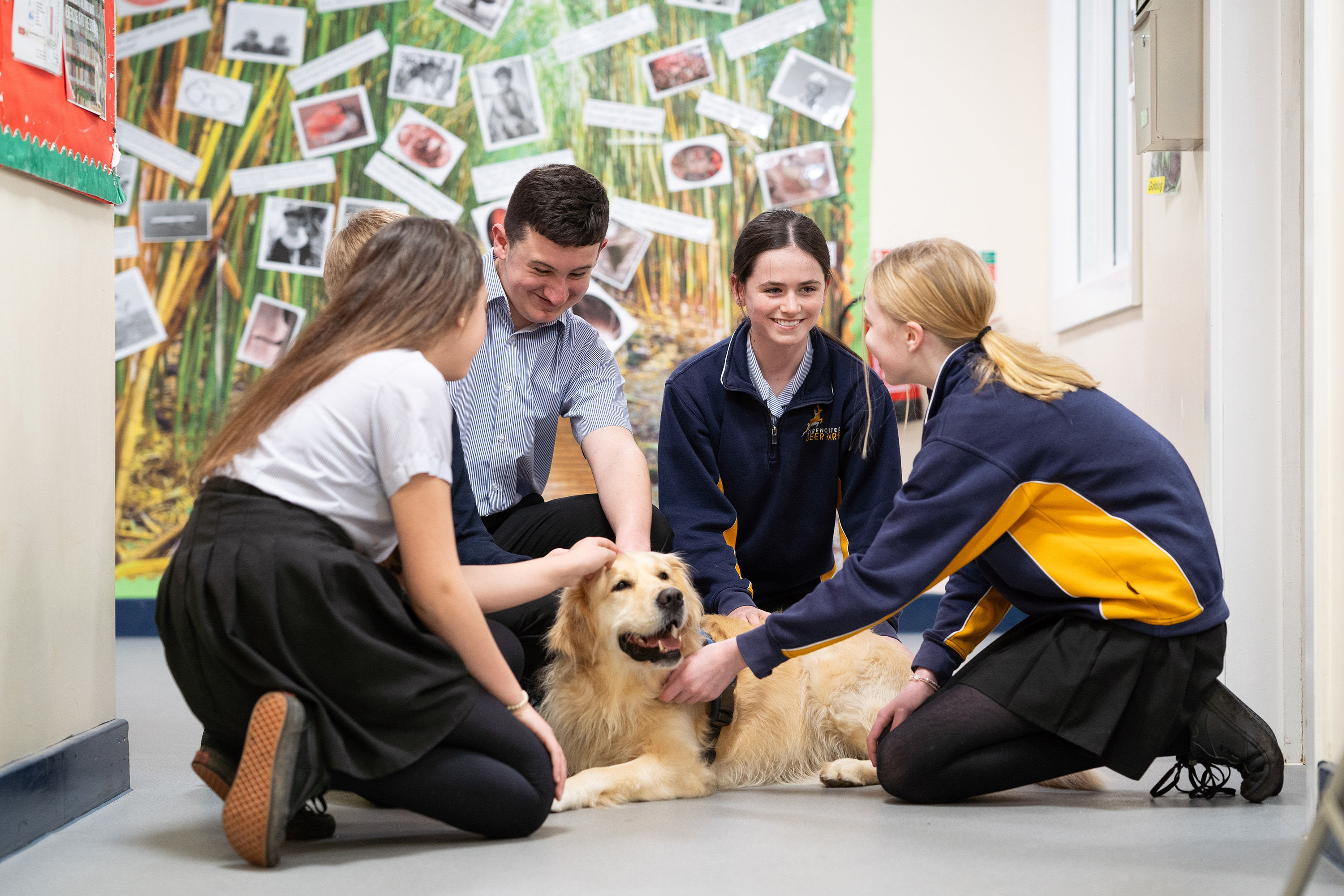 School Governor - Cirencester Deer Park School