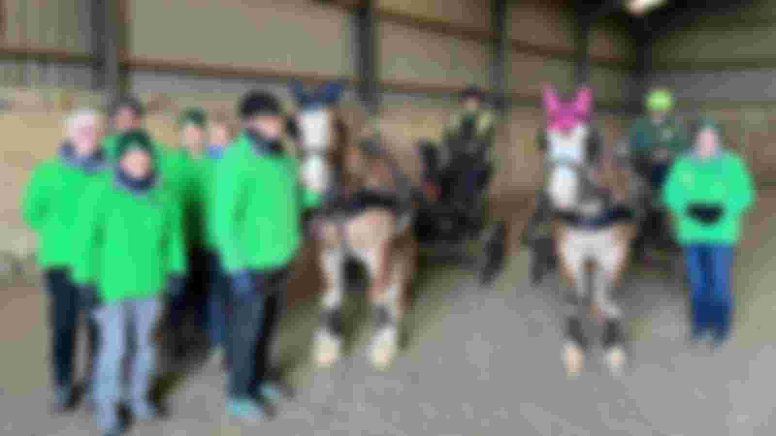 COME AND VOLUNTEER AT OUR CARRIAGE DRIVING GROUP FOR DISABLED PEOPLE