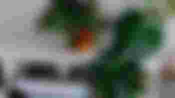 Preventief huisbezoek bij 80 plussers