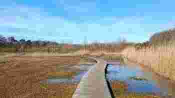 Wandelgids in het Gooi