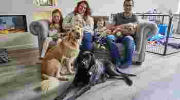 Breeding Dog Volunteer