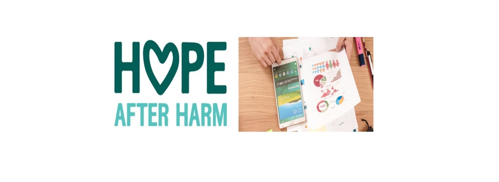 Volunteer Trustee Treasurer 