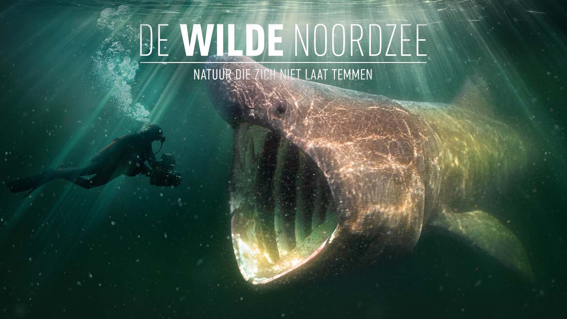 Film ‘De Wilde Noordzee’ 