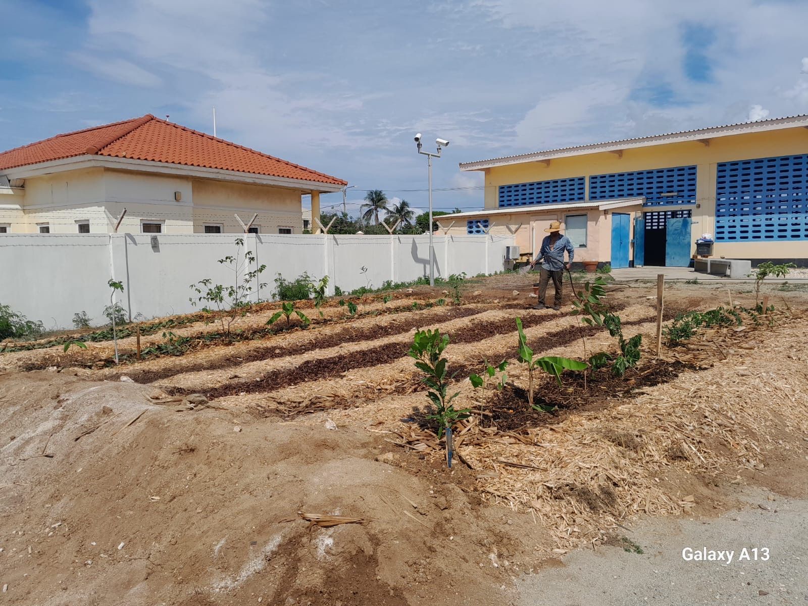 Bijhouden van voedselbos